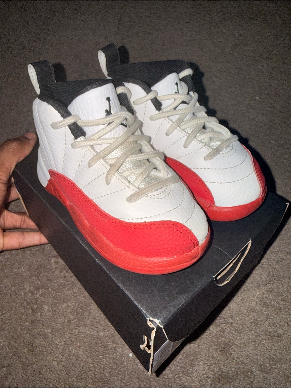 Jordan 12 TD